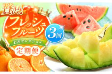 【 定期便 3回  】 贅沢！ フレッシュ フルーツ 王国 セレクション | 果物 くだもの フルーツ 不知火 スイカ マスクメロン 定期 熊本県 玉名市