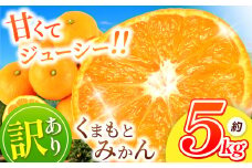 訳あり くまもと みかん 約 5kg 【 11月頃～2月頃まで 発送 】 | 果物 くだもの フルーツ 柑橘 柑橘類 みかん ジューシー みかん 甘い みかん ミカン 家庭用 みかん 温州 みかん 蜜柑 みかん ミカン 熊本県 玉名市 