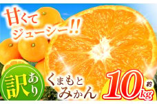 訳あり くまもと みかん 約 10kg 【 11月頃～2月頃まで 発送 】 | 果物 くだもの フルーツ 柑橘 柑橘類 みかん ジューシー みかん 甘い みかん ミカン 家庭用 みかん 温州 みかん 蜜柑 みかん ミカン 熊本県 玉名市 