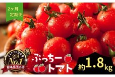 ぷっちートマト ミニトマト 1.8kg×2回 定期便 | 野菜 やさい ミニトマト ミニ とまと トマト 1.8kg 2回 定期便 リコピン 熊本県 玉名市
