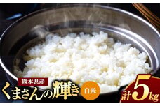 熊本県産 くまさんの輝き 白米 5kg | お米 米 こめ おこめ 精米 白米 5キロ フードロス 国産 国産米 くまもと 熊本 熊本県 玉名市 玉名