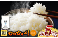 熊本県産 ひのひかり 白米 5kg | お米 米 こめ おこめ 精米 白米 ヒノヒカリ 5キロ フードロス 国産 国産米 くまもと 熊本 熊本県 玉名市 玉名