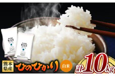 熊本県産 ひのひかり 白米 10kg | お米 米 こめ おこめ 精米 白米 ヒノヒカリ 10キロ フードロス 国産 国産米 くまもと 熊本 熊本県 玉名市 玉名
