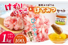 けずりいちご と 日本みつばち の はちみつ セット | 果物 くだもの フルーツ いちご イチゴ 冷凍 蜂蜜 ハチミツ 国産 希少 セット 熊本県 玉名市