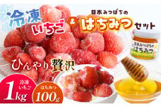 冷凍いちご と 日本みつばち の はちみつ セット | 果物 くだもの フルーツ いちご イチゴ 冷凍 蜂蜜 ハチミツ 国産 希少 セット 熊本県 玉名市