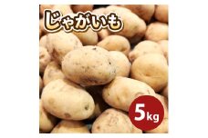 じゃがいも （トヨシロ） 5㎏ | 野菜 やさい ジャガイモ じゃがいも とよしろ 熊本県 玉名市