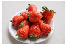 坂本いちご農園 ゆうべに 2㎏ ｜ 果物 くだもの フルーツ いちご 苺 イチゴ ゆうべに 2㎏ 熊本県 玉名市