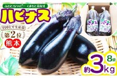 ハピナス 玉名市産 長なす 約3㎏（300ｇ～400ｇ×8袋）｜ 野菜 やさい 茄子 なすび とげ無 種少 薄皮 季節野菜 袋詰め 小分け 熊本県 玉名市