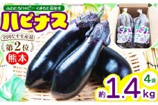 ハピナス 玉名市産 長なす 約 1.4㎏（300ｇ～400ｇ×4袋）｜ 野菜 やさい 茄子 なすび とげ無 種少 薄皮 季節野菜 袋詰め 小分け 熊本県 玉名市