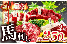 純 国産 熊本 馬刺し 4種類 250g | 肉 にく お肉 おにく 馬 馬刺 赤身 霜降り ふたえご たてがみ 小分け 専用タレ 熊本県 玉名市