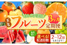 【 定期便 3回 】 まるごと 堪能 ！ 人気 フルーツ |（ いちご 白いちご みかん 不知火 デコポン スイカ メロン ぶどう シャインマスカット 梨 柿 果物 ） フルーツ定期 フルーツ定期便 果物定期便 果物定期 定期便 フルーツ 果物