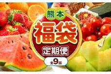【 定期便 9回 】 熊本 福袋 |（ いちご みかん 不知火 デコポン スイカ メロン あか牛 牛肉 海苔 焼き海苔 馬肉 ユッケ ウインナー かんしょ さつまいも ） 肉 果物 フルーツ くだもの 定期 定期便 福袋定期便 熊本県 玉名市