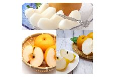 【定期便3回】 梨 約5kg 計 約15㎏（豊水・秋月・新高）| 秋月梨 新高梨 豊水梨 梨 ナシ なし フルーツ 果物 熊本県 玉名市