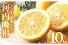 河内晩柑（ジューシーオレンジ）約10㎏ | 晩柑 オレンジ おれんじ ジューシー 夏 和製グレープフルーツ グレープフルーツ 果物 熊本県 玉名市