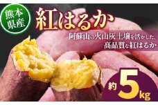 紅はるか 約5kg（9~38個） | 紅はるか さつまいも 野菜 高品質 芋 甘い ねっとり 熊本県 玉名市