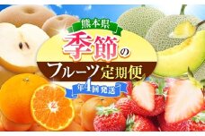 【定期便4回】旬のフルーツ 定期便 年4回 | いちご メロン 梨 みかん フルーツ 果物 定期便 熊本県 玉名市