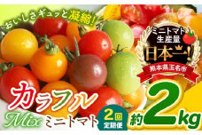 【 定期便 2回 】 ミニトマト 生産量 日本一 玉名市 !! カラフル ミニトマト 約 2kg （ ミックス ） サザキ農園   | 野菜 トマト ミニトマト 熊本県 玉名市 定期便