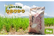 かめまる農園 の 「 ひのひかり 」 5kg | 米 こめ お米 おこめ 白米 精米 ヒノヒカリ 熊本県 玉名市