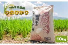 かめまる農園 の 「 ひのひかり 」 10kg | 米 こめ お米 おこめ 白米 精米 ヒノヒカリ 熊本県 玉名市