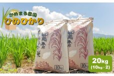 かめまる農園 「 ひのひかり 」 20kg | 米 こめ お米 おこめ 白米 精米 ヒノヒカリ 熊本県 玉名市