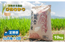 【定期便3回】 かめまる農園 の 「 ひのひかり 」 10kg × 3回 | 米 こめ お米 おこめ 白米 精米 ヒノヒカリ 熊本県 玉名市 定期 定期便