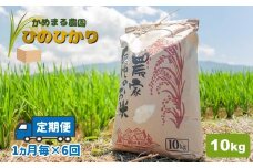 【定期便6回】 かめまる農園 の 「 ひのひかり 」 10kg × 6回 | 米 こめ お米 おこめ 白米 精米 ヒノヒカリ 熊本県 玉名市 定期 定期便