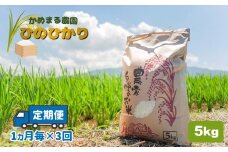 【定期便3回】 かめまる農園 の 「 ひのひかり 」 5kg × 3回 | 米 こめ お米 おこめ 白米 精米 ヒノヒカリ 熊本県 玉名市 定期 定期便