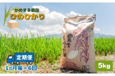 【定期便6回】 かめまる農園 の 「 ひのひかり 」 5kg × 6回 | 米 こめ お米 おこめ 白米 精米 ヒノヒカリ 熊本県 玉名市 定期 定期便