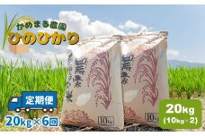 【定期便6回】 かめまる農園 「 ひのひかり 」 20kg × 6回 | 米 こめ お米 おこめ 白米 精米 ヒノヒカリ 熊本県 玉名市 定期 定期便