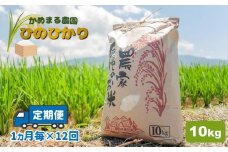 【定期便12回】 かめまる農園 の 「 ひのひかり 」 10kg × 12回 | 米 こめ お米 おこめ 白米 精米 ヒノヒカリ 熊本県 玉名市 定期 定期便