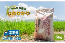 かめまる農園 の 「 ひのひかり 」 5kg （ 2ヶ月毎 × 3回 ） | 米 こめ お米 おこめ 白米 精米 ヒノヒカリ 熊本県 玉名市 定期 定期便