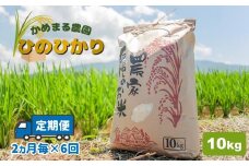 【 定期便 6回 】 かめまる農園 の 「 ひのひかり 」 10kg （ 2ヶ月毎 × 6回 ） | 米 こめ お米 おこめ 白米 精米 ヒノヒカリ 熊本県 玉名市 定期
