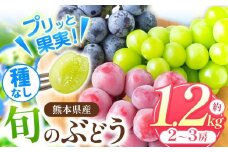 「 フルーツはぎお 」 旬の種なし ぶどう と シャインマスカット セット 約 1.2kg | フルーツ 果物 くだもの ブドウ 葡萄 シャイン マスカット 種なし 種無し 熊本県 玉名市