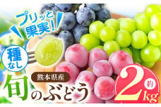 「 フルーツはぎお 」旬の種なし ぶどう と シャインマスカット セット 約 2㎏ ｜ 果物 くだもの フルーツ ぶどう 葡萄 ブドウ シャインマスカット 旬 夏 熊本県 玉名市															
