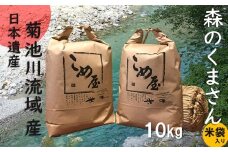 熊本県産 「森のくまさん」 10kg | 米 こめ お米 おこめ 森のくまさん 精米 白米 熊本県 玉名市