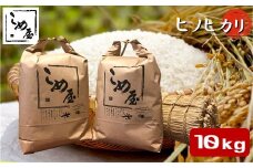 熊本県産 「 ヒノヒカリ 」 10kg | 米 こめ お米 おこめ 白米 精米 ひのひかり 熊本県 玉名市