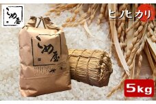 熊本県産 「 ヒノヒカリ 」 5kg | 米 こめ お米 おこめ 白米 精米 ひのひかり 熊本県 玉名市
