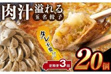 【定期便3回】タレ不要！！ 肉汁 溢れる『 玉名餃子 』 20個 | 餃子 ぎょうざ お手軽 小分け 冷凍 冷凍食品 おかず 豚肉 熊本県 玉名市