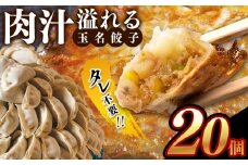 タレ不要！！ 肉汁 溢れる『 玉名餃子 』 20個 | 餃子 ぎょうざ お手軽 小分け 冷凍 冷凍食品 おかず 豚肉 熊本県 玉名市
