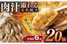 【定期便6回】タレ不要！！ 肉汁 溢れる『 玉名餃子 』 20個 | 餃子 ぎょうざ お手軽 小分け 冷凍 冷凍食品 おかず 豚肉 熊本県 玉名市