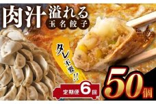 【定期便6回】タレ不要！！ 肉汁 溢れる『 玉名餃子 』 50個 | 餃子 ぎょうざ お手軽 小分け 冷凍 冷凍食品 おかず 豚肉 熊本県 玉名市