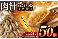 【定期便3回】タレ不要！！ 肉汁 溢れる『 玉名餃子 』 50個 | 餃子 ぎょうざ お手軽 小分け 冷凍 冷凍食品 おかず 豚肉 熊本県 玉名市