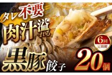 【定期便6回】肉汁 溢れる『 黒豚餃子 』 20個 | 餃子 ぎょうざ お手軽 小分け 冷凍 冷凍食品 おかず 豚肉 熊本県 玉名市