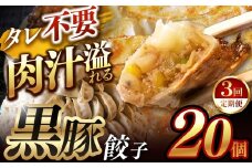 【定期便3回】肉汁 溢れる『 黒豚餃子 』 20個 | 餃子 ぎょうざ お手軽 小分け 冷凍 冷凍食品 おかず 豚肉 熊本県 玉名市
