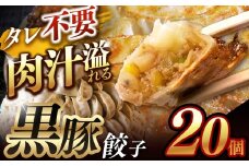  肉汁 溢れる『 黒豚餃子 』 20個 | 餃子 ぎょうざ お手軽 小分け 冷凍 冷凍食品 おかず 豚肉 熊本県 玉名市