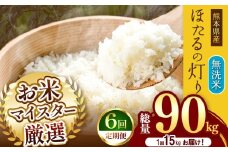 【 定期便 6回 】熊本県産 無洗米 ほたるの灯り 15kg | お米 米 こめ おこめ 精米 15キロ 国産 国産米 定期 くまもと 熊本 熊本県 玉名市 玉名