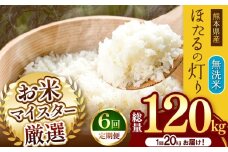【 定期便 6回 】熊本県産 無洗米 ほたるの灯り 20kg | お米 米 こめ おこめ 精米 20キロ 国産 国産米 定期 くまもと 熊本 熊本県 玉名市 玉名
