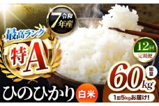 【 定期便 12回 】熊本県産 ひのひかり 白米 5kg | お米 米 こめ おこめ 精米 白米 ヒノヒカリ 5キロ ご飯 国産 国産米 定期 くまもと 熊本 熊本県 玉名市 玉名