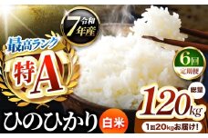 【 定期便 6回 】熊本県産 ひのひかり 白米 20kg | お米 米 こめ おこめ 精米 白米 ヒノヒカリ 20キロ ご飯 国産 国産米 定期 くまもと 熊本 熊本県 玉名市 玉名