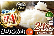 【 定期便 12回 】熊本県産 ひのひかり 白米 20kg | お米 米 こめ おこめ 精米 白米 ヒノヒカリ 20キロ ご飯 国産 国産米 定期 くまもと 熊本 熊本県 玉名市 玉名
